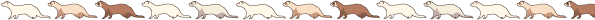 furet banière